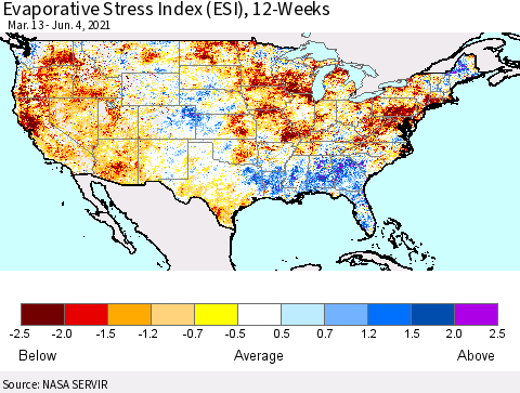 United States Evaporative Stress Index 12-Weeks (ESI) Thematic Map For 5/31/2021 - 6/6/2021