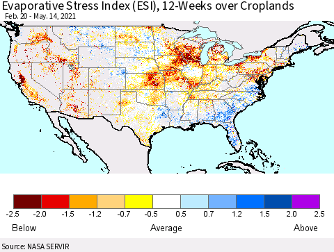 United States Evaporative Stress Index (ESI), 12-Weeks over Croplands Thematic Map For 5/10/2021 - 5/16/2021