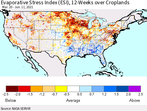 United States Evaporative Stress Index (ESI), 12-Weeks over Croplands Thematic Map For 6/7/2021 - 6/13/2021