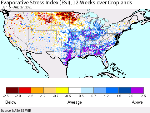 United States Evaporative Stress Index (ESI), 12-Weeks over Croplands Thematic Map For 8/23/2021 - 8/29/2021
