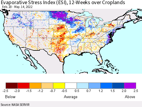 United States Evaporative Stress Index (ESI), 12-Weeks over Croplands Thematic Map For 5/9/2022 - 5/15/2022