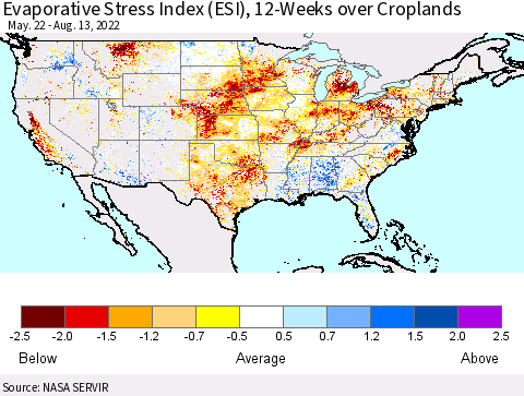 United States Evaporative Stress Index (ESI), 12-Weeks over Croplands Thematic Map For 8/8/2022 - 8/14/2022