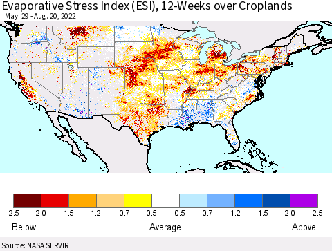 United States Evaporative Stress Index (ESI), 12-Weeks over Croplands Thematic Map For 8/15/2022 - 8/21/2022