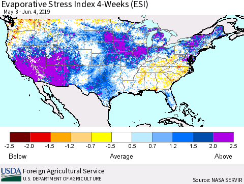 United States Evaporative Stress Index (ESI), 4-Weeks Thematic Map For 6/3/2019 - 6/9/2019