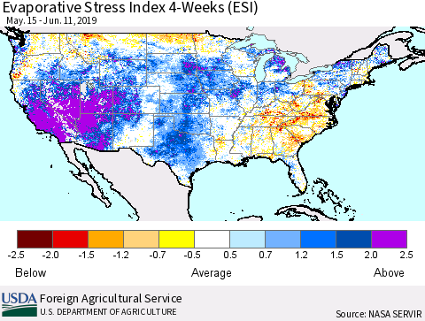 United States Evaporative Stress Index 4-Weeks (ESI) Thematic Map For 6/10/2019 - 6/16/2019