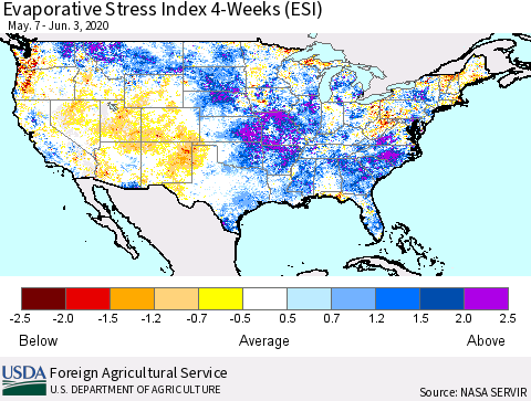 United States Evaporative Stress Index 4-Weeks (ESI) Thematic Map For 6/1/2020 - 6/7/2020