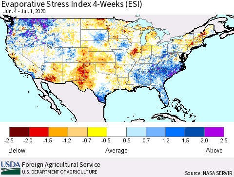 United States Evaporative Stress Index 4-Weeks (ESI) Thematic Map For 6/29/2020 - 7/5/2020