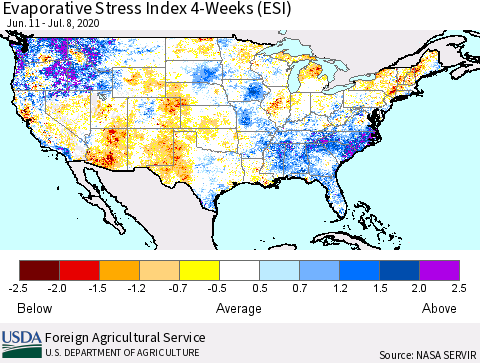 United States Evaporative Stress Index 4-Weeks (ESI) Thematic Map For 7/6/2020 - 7/12/2020