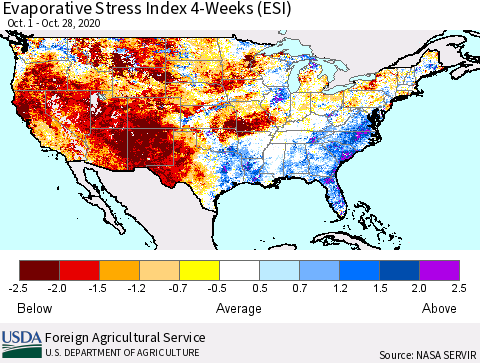 United States Evaporative Stress Index (ESI), 4-Weeks Thematic Map For 10/26/2020 - 11/1/2020