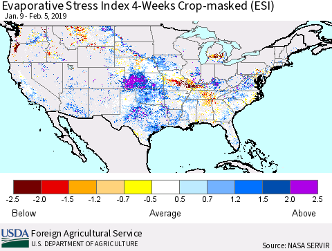 United States Evaporative Stress Index 4-Weeks Crop-masked (ESI) Thematic Map For 2/4/2019 - 2/10/2019