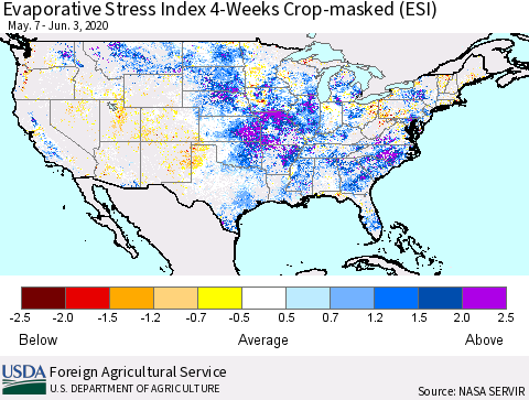 United States Evaporative Stress Index 4-Weeks Crop-masked (ESI) Thematic Map For 6/1/2020 - 6/7/2020