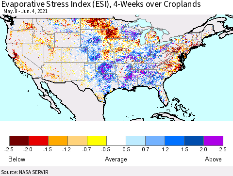 United States Evaporative Stress Index (ESI), 4-Weeks over Croplands Thematic Map For 5/31/2021 - 6/6/2021
