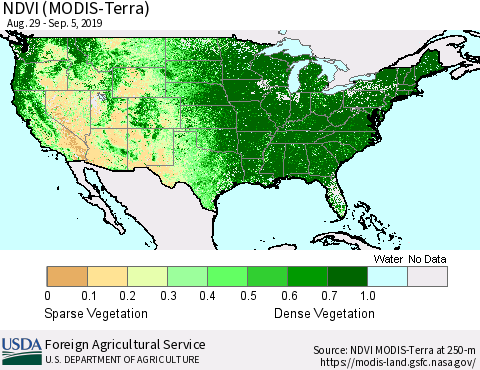 United States NDVI (MODIS-Terra) Thematic Map For 9/1/2019 - 9/10/2019