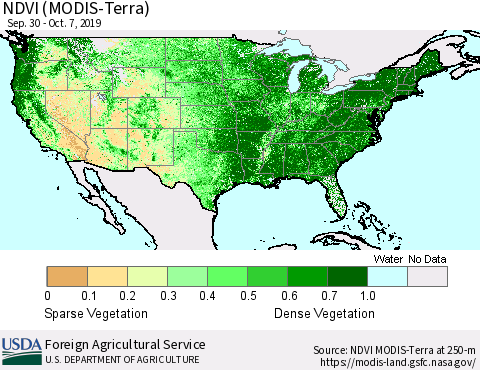 United States NDVI (Terra-MODIS) Thematic Map For 10/1/2019 - 10/10/2019