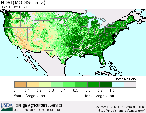 United States NDVI (Terra-MODIS) Thematic Map For 10/11/2019 - 10/20/2019