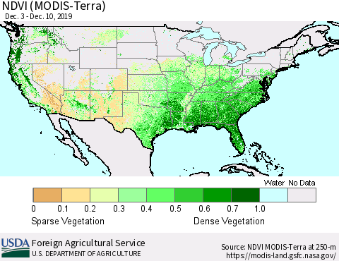 United States NDVI (MODIS-Terra) Thematic Map For 12/1/2019 - 12/10/2019
