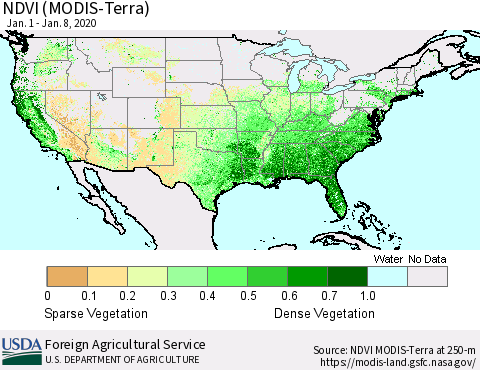 United States NDVI (Terra-MODIS) Thematic Map For 1/1/2020 - 1/10/2020