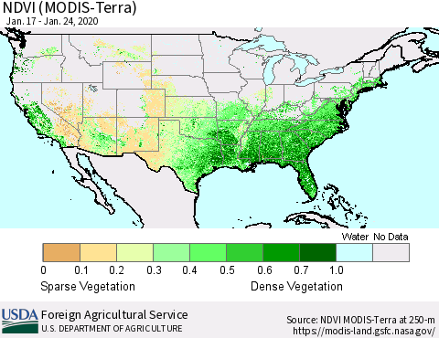 United States NDVI (Terra-MODIS) Thematic Map For 1/21/2020 - 1/31/2020