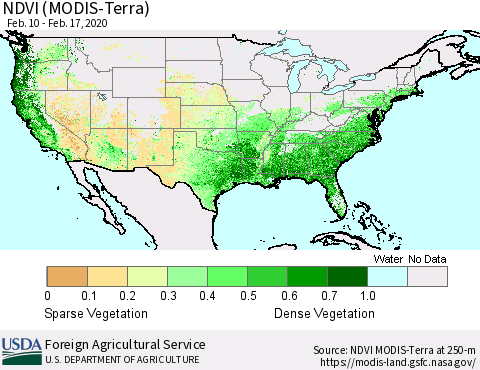 United States NDVI (Terra-MODIS) Thematic Map For 2/11/2020 - 2/20/2020