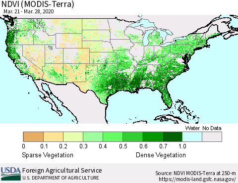 United States NDVI (Terra-MODIS) Thematic Map For 3/21/2020 - 3/31/2020