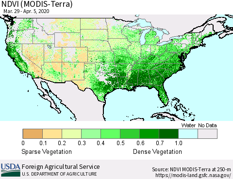 United States NDVI (Terra-MODIS) Thematic Map For 4/1/2020 - 4/10/2020