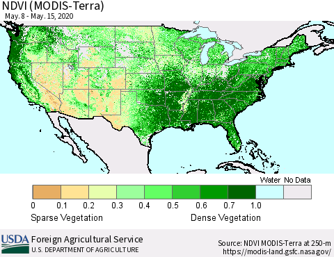United States NDVI (MODIS-Terra) Thematic Map For 5/11/2020 - 5/20/2020