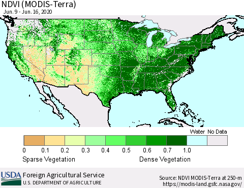 United States NDVI (Terra-MODIS) Thematic Map For 6/11/2020 - 6/20/2020