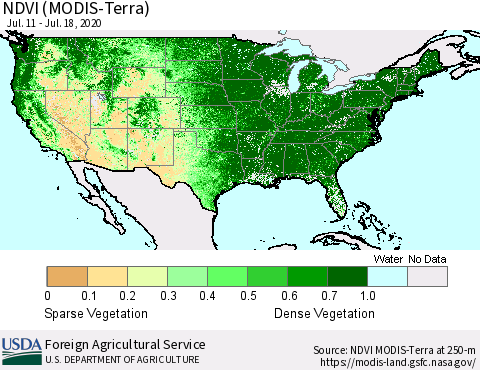 United States NDVI (MODIS-Terra) Thematic Map For 7/11/2020 - 7/20/2020