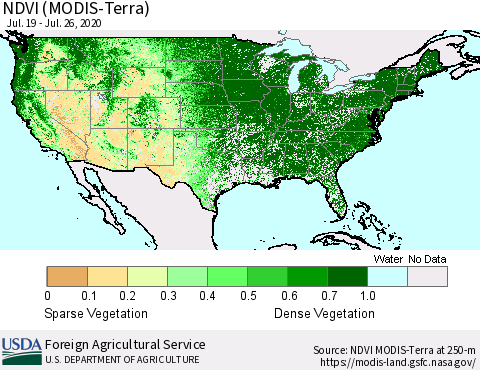 United States NDVI (MODIS-Terra) Thematic Map For 7/21/2020 - 7/31/2020