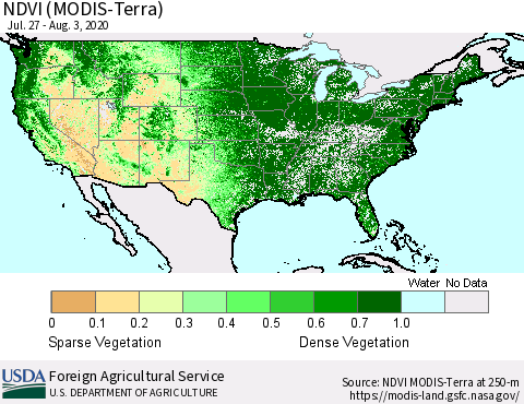 United States NDVI (Terra-MODIS) Thematic Map For 8/1/2020 - 8/10/2020