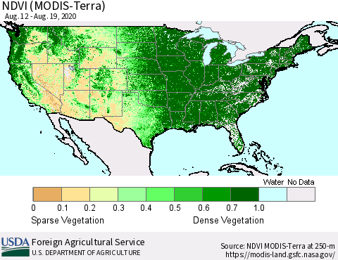 United States NDVI (Terra-MODIS) Thematic Map For 8/11/2020 - 8/20/2020