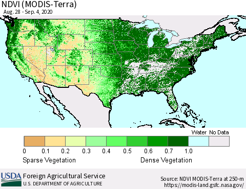 United States NDVI (Terra-MODIS) Thematic Map For 9/1/2020 - 9/10/2020