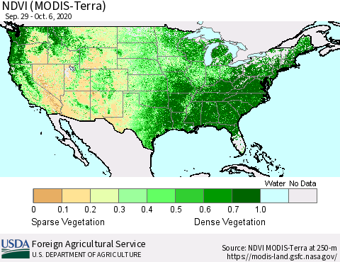 United States NDVI (Terra-MODIS) Thematic Map For 10/1/2020 - 10/10/2020