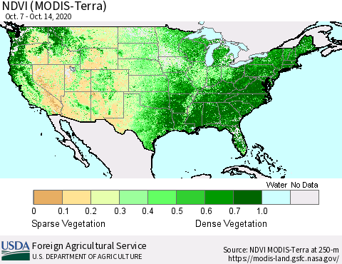 United States NDVI (Terra-MODIS) Thematic Map For 10/11/2020 - 10/20/2020
