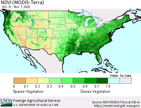 United States NDVI (Terra-MODIS) Thematic Map For 11/1/2020 - 11/10/2020