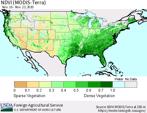 United States NDVI (Terra-MODIS) Thematic Map For 11/21/2020 - 11/30/2020