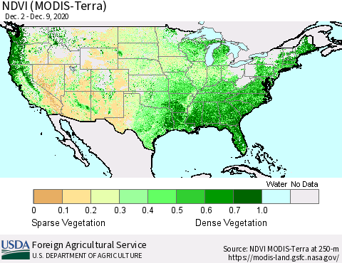 United States NDVI (Terra-MODIS) Thematic Map For 12/1/2020 - 12/10/2020