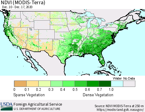 United States NDVI (Terra-MODIS) Thematic Map For 12/11/2020 - 12/20/2020
