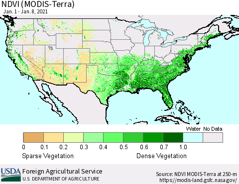 United States NDVI (MODIS-Terra) Thematic Map For 1/1/2021 - 1/10/2021