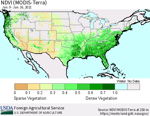 United States NDVI (Terra-MODIS) Thematic Map For 1/11/2021 - 1/20/2021