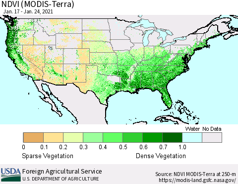 United States NDVI (MODIS-Terra) Thematic Map For 1/21/2021 - 1/31/2021