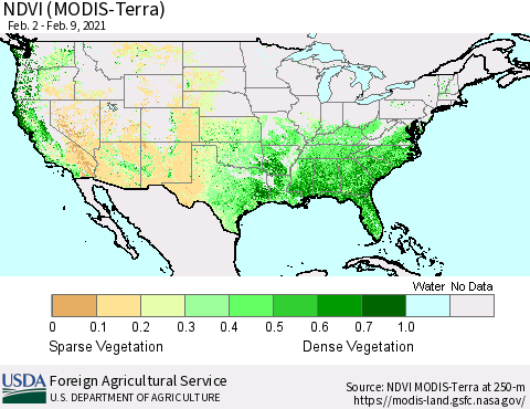 United States NDVI (Terra-MODIS) Thematic Map For 2/1/2021 - 2/10/2021