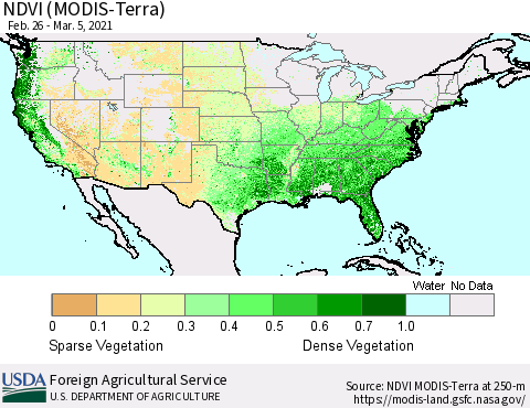 United States NDVI (Terra-MODIS) Thematic Map For 3/1/2021 - 3/10/2021