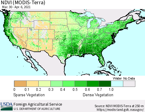 United States NDVI (Terra-MODIS) Thematic Map For 4/1/2021 - 4/10/2021