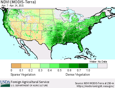 United States NDVI (Terra-MODIS) Thematic Map For 4/11/2021 - 4/20/2021