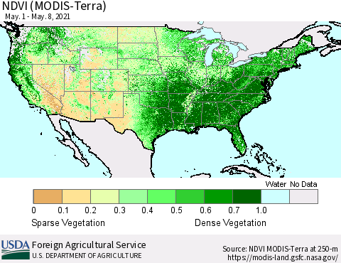 United States NDVI (Terra-MODIS) Thematic Map For 5/1/2021 - 5/10/2021
