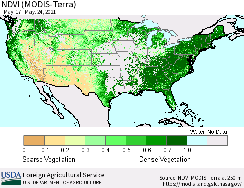 United States NDVI (Terra-MODIS) Thematic Map For 5/21/2021 - 5/31/2021