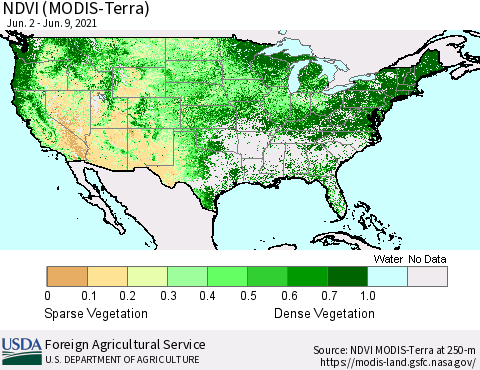 United States NDVI (Terra-MODIS) Thematic Map For 6/1/2021 - 6/10/2021