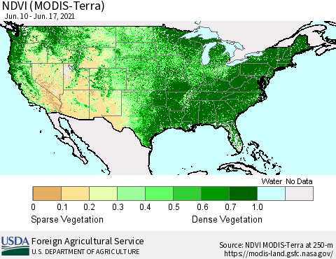 United States NDVI (Terra-MODIS) Thematic Map For 6/11/2021 - 6/20/2021