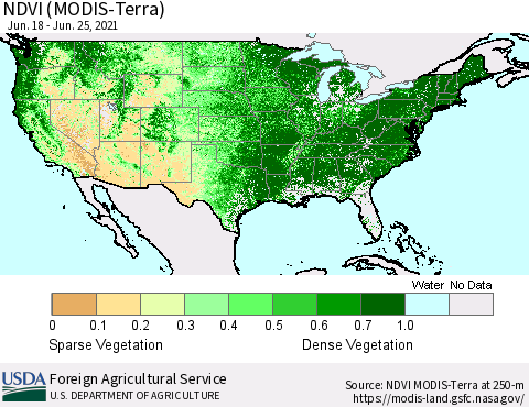United States NDVI (Terra-MODIS) Thematic Map For 6/21/2021 - 6/30/2021